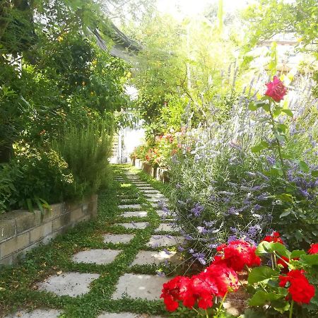 Il Vialetto Dei Limoni Bed & Breakfast Vico Equense Ngoại thất bức ảnh