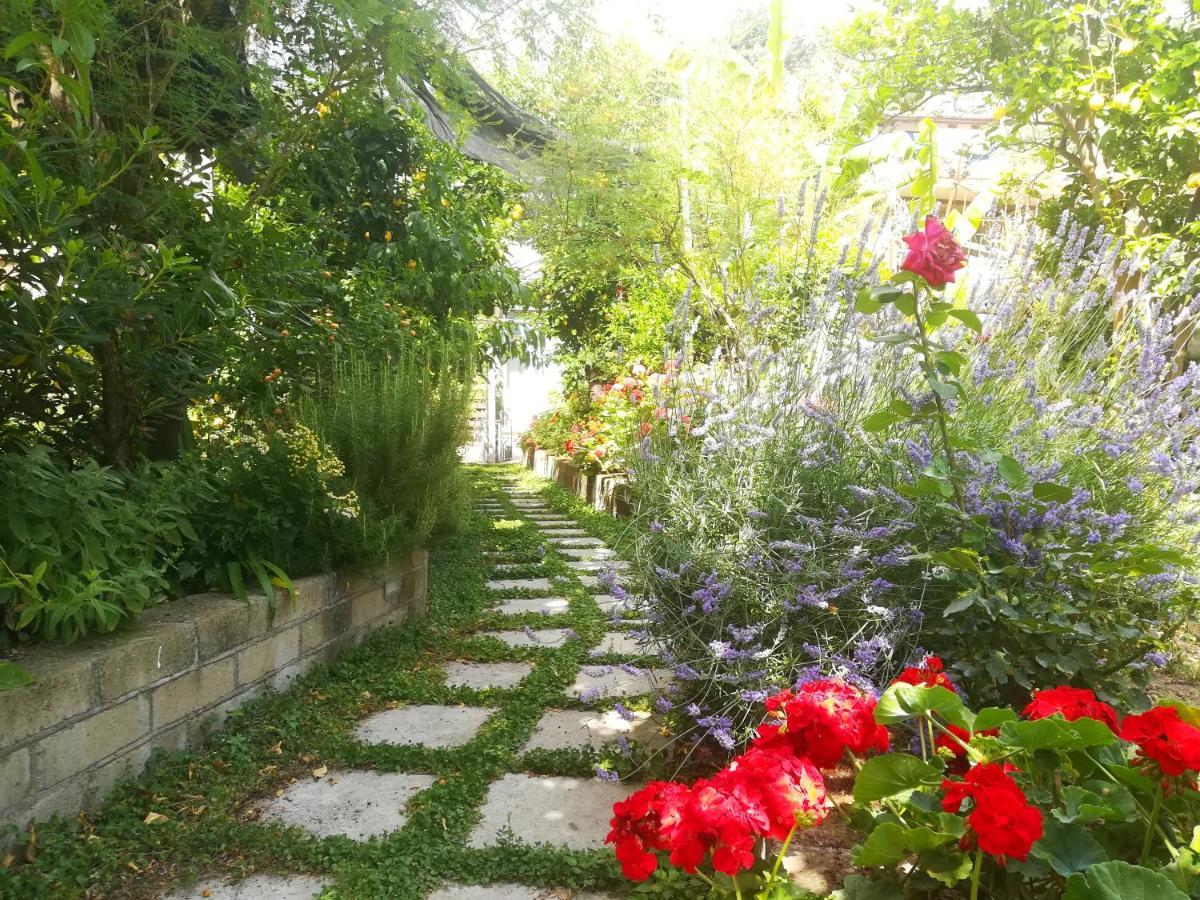 Il Vialetto Dei Limoni Bed & Breakfast Vico Equense Ngoại thất bức ảnh